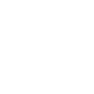GEO Rank